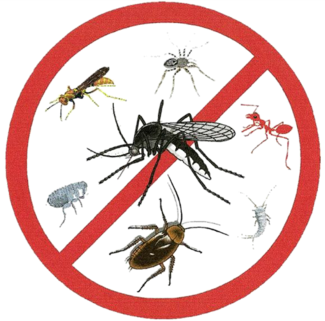 <span style="font-weight: bold;">ИНСЕКТИЦИДЫ</span><br>